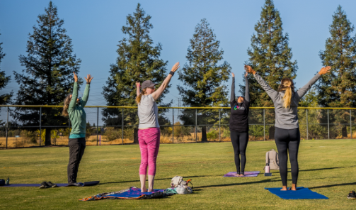 Four people participating in yoga in the park