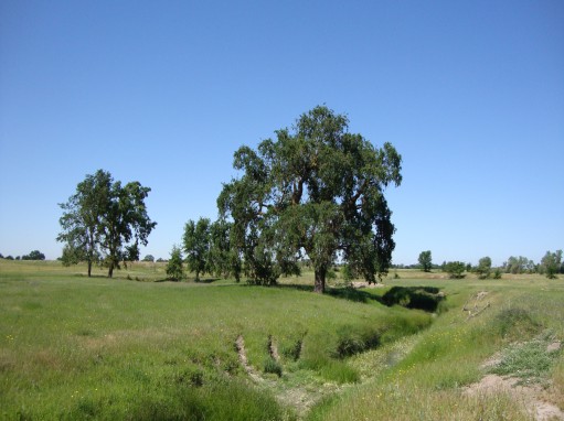 Amoruso Ranch