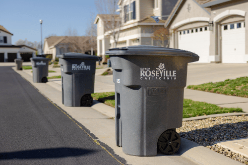 Picture of toters on a street in a residential neighborhood