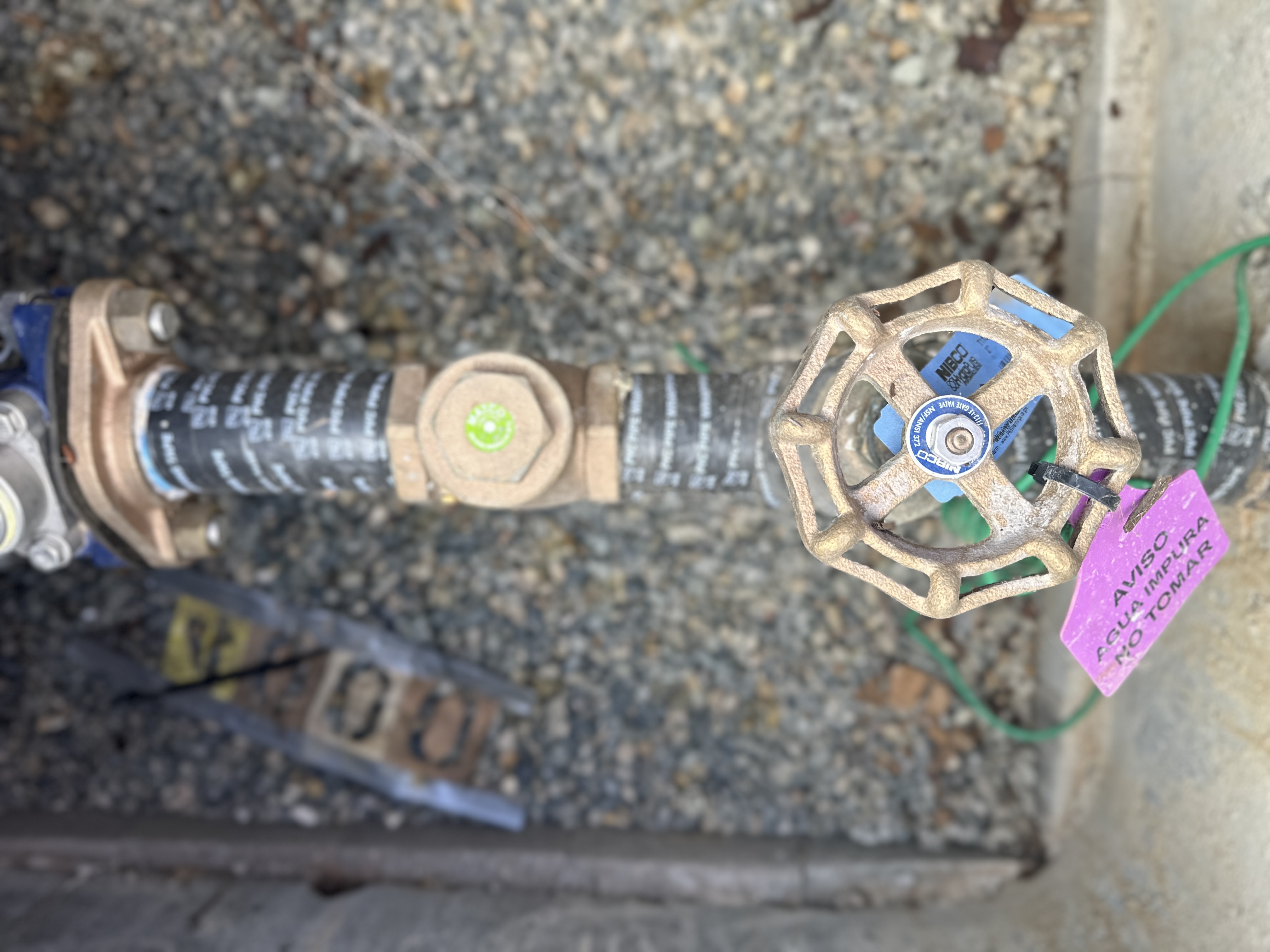 Photo Mar 22 2024, 10 59 00 AM