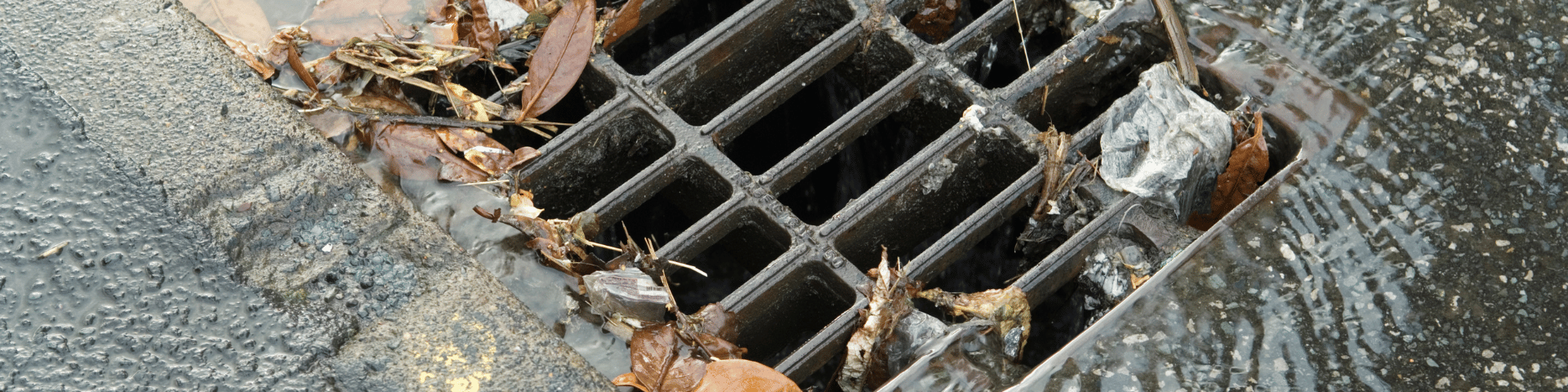 A storm drain on a wet street is clogged with fallen leaves and debris, with water flowing over it.