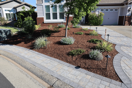 A landscaped front yard with a paved driveway and walkway, featuring a variety of low-lying plants and mulch around a young tree.