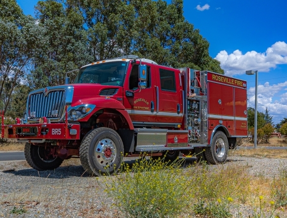 wildland fire engine parked in vegetation