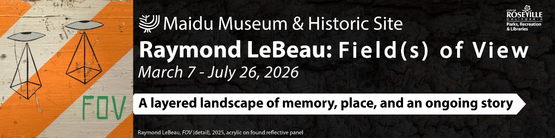 Raymond LeBeau Field(s) of View March 7 through July 26 2026. A layered landscape of memory, place, and an ongoing story.