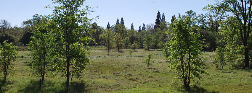 MMHS History Banner Image