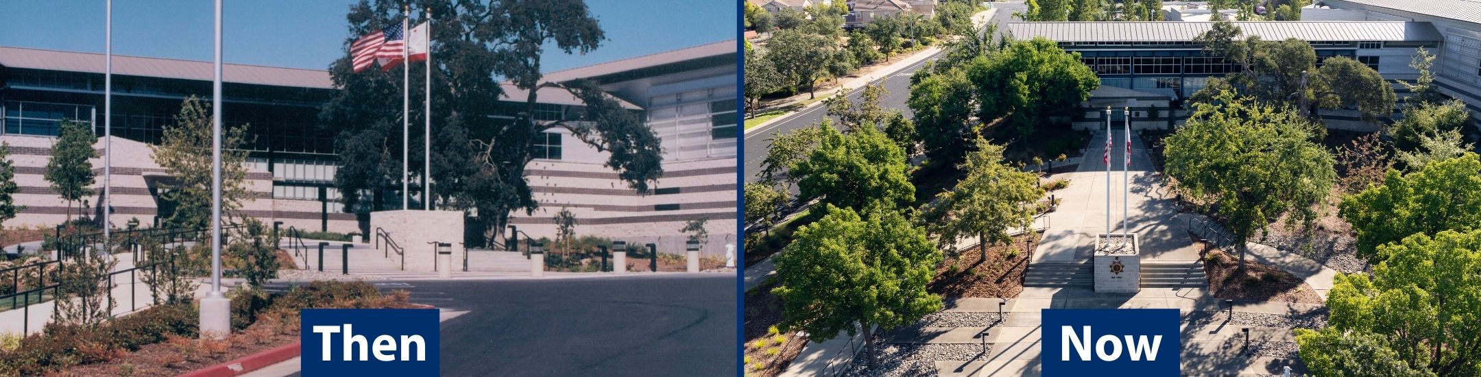 Through the Decades0