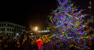Tree Lighting