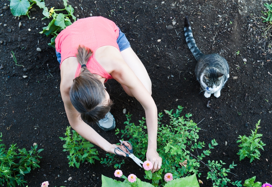woman gardening with cat