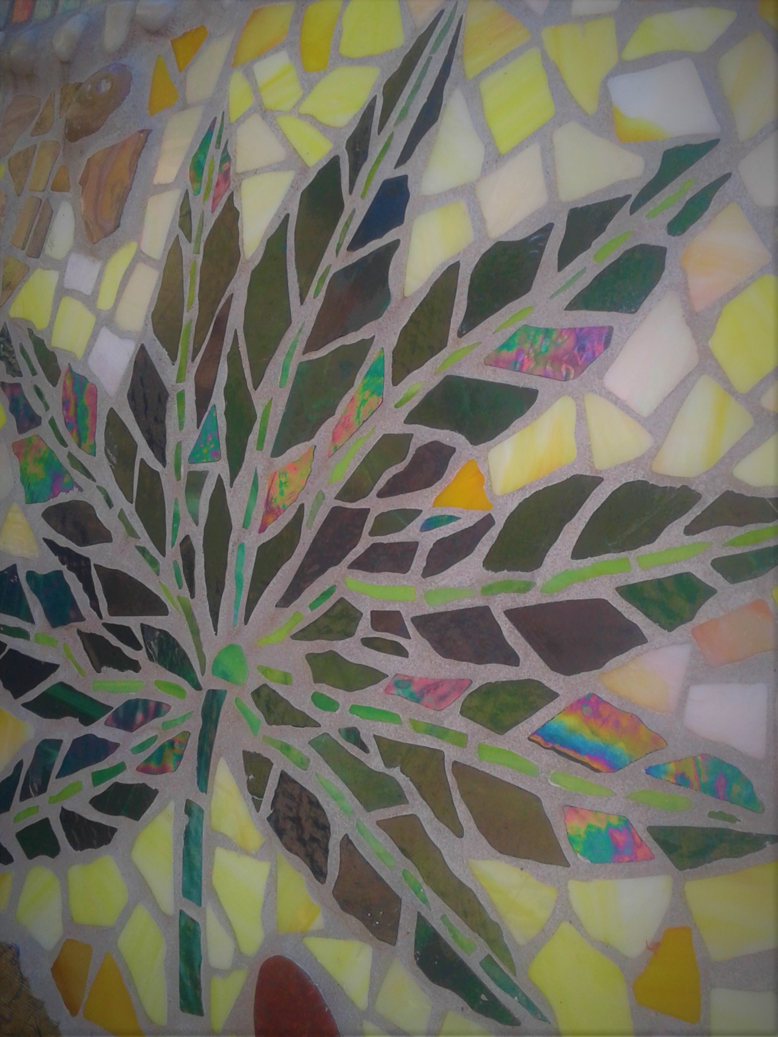 2_Trees and Shrubs Photo Credit Soleil Tranquilli Tranquill Gardens