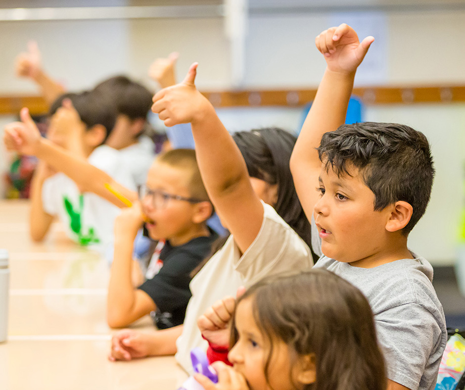 Elementary picture_final