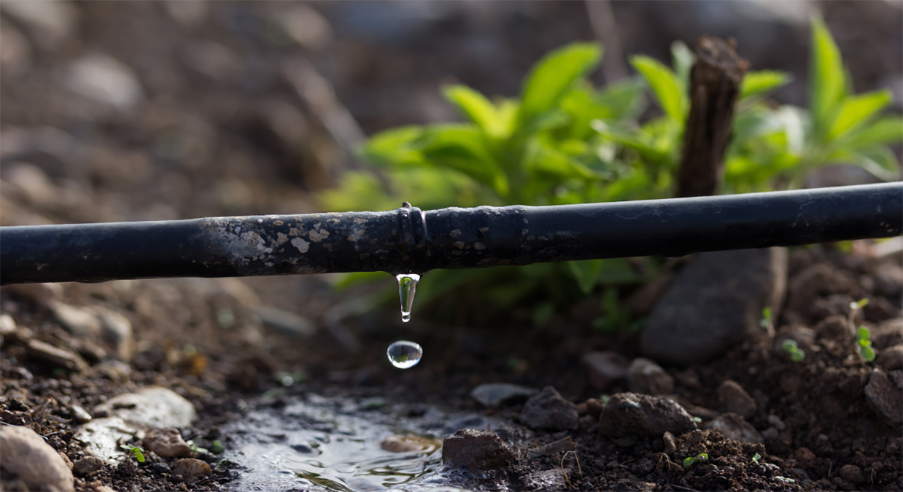 Drip irrigation - Copy