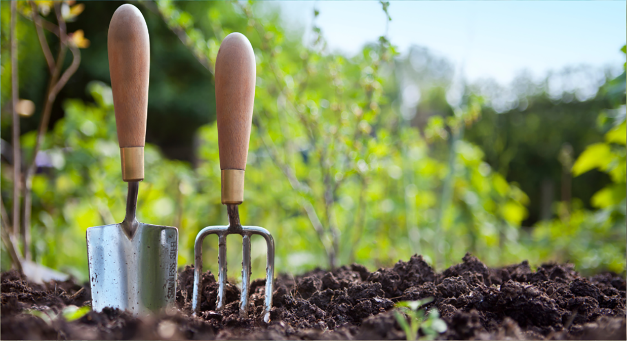 Gardening Best Practices