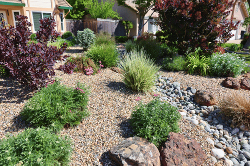 Water wise landscape photo with a variety of plants, rocks and a river bed